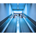 Easy Shopping Store Hotel Passenger Lift Moving Sidewalk